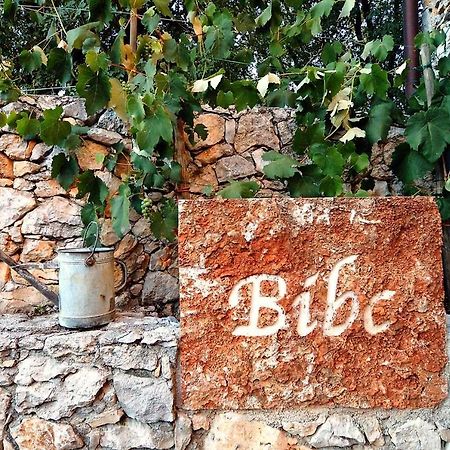 Bibc Wine&Holiday Trieste Dış mekan fotoğraf